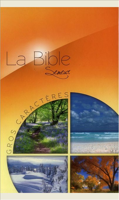BIBLE DU SEMEUR AVEC GROS CARACTERES, JAUNE ILLUSTREE