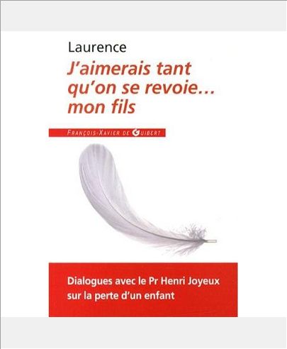 J'AIMERAIS TANT QU'ON SE REVOIE... MON FILS - DIALOGUES AVEC LE PROFESSEUR HENRI JOYEUX