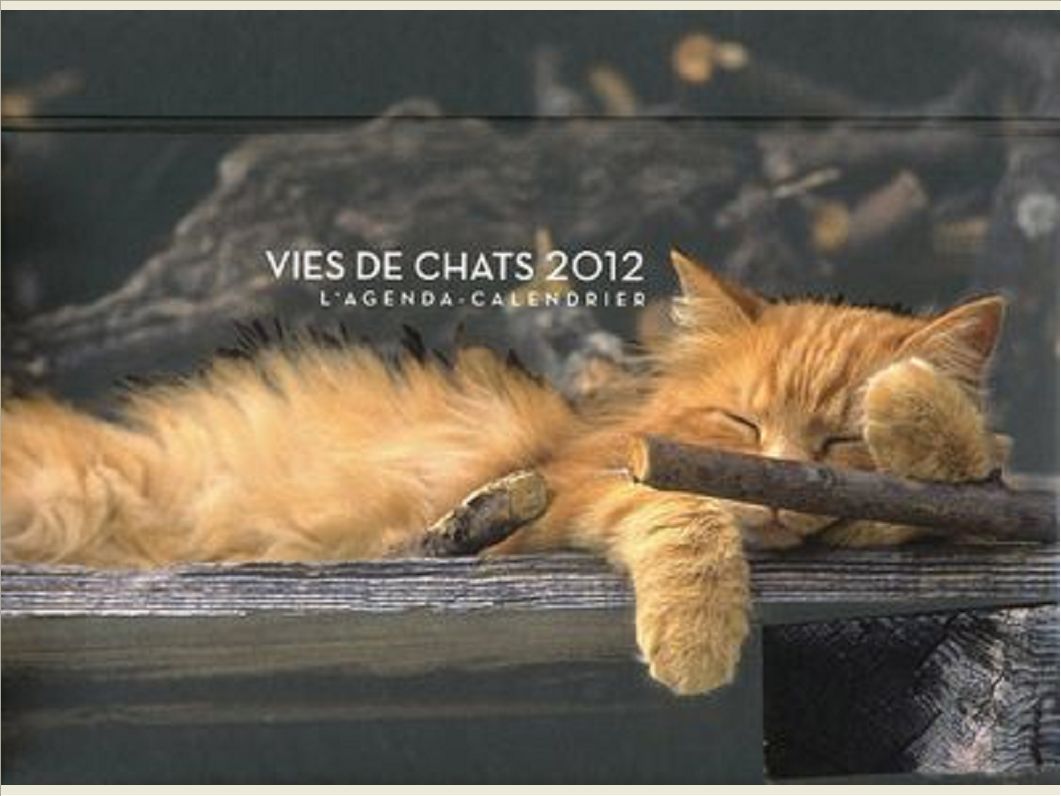 AGENDA CALENDRIER VIES DE CHATS 2012