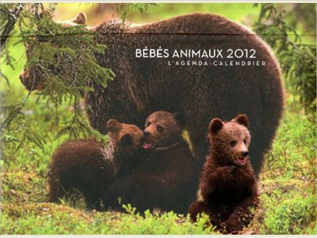 AGENDA CALENDRIER BEBES ANIMAUX 2012
