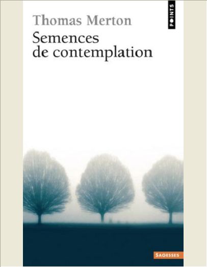 SEMENCES DE CONTEMPLATION