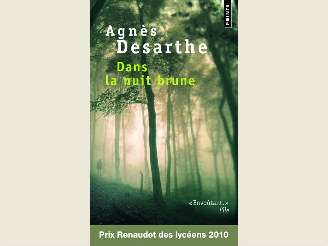 DANS LA NUIT BRUNE