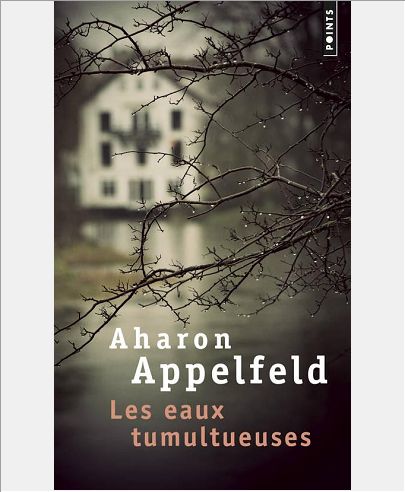 LES EAUX TUMULTUEUSES