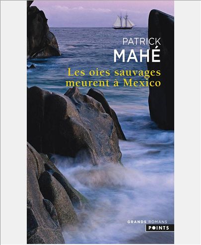 LES OIES SAUVAGES MEURENT A MEXICO