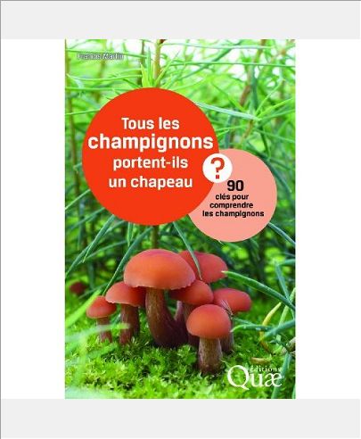 TOUS LES CHAMPIGNONS PORTENT-ILS UN CHAPEAU ? - 90 CLES POUR COMPRENDRE LES CHAMPIGNONS.
