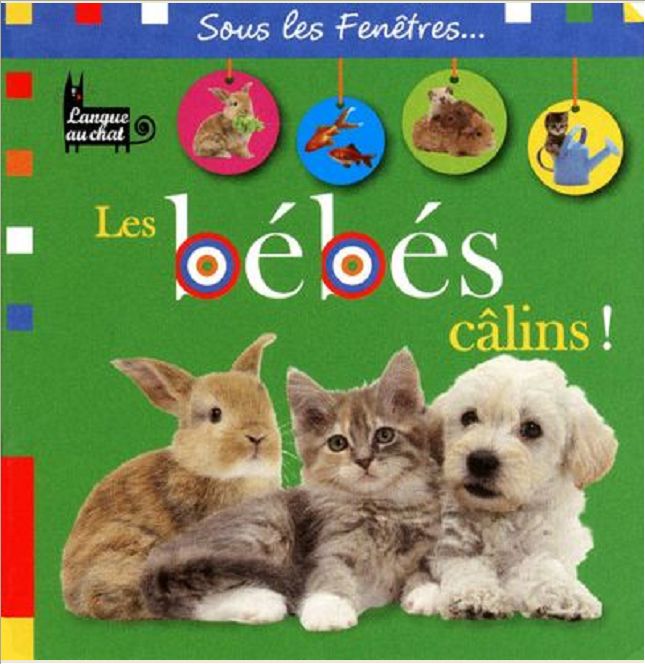 BEBES CALINS SOUS LES FENETRES