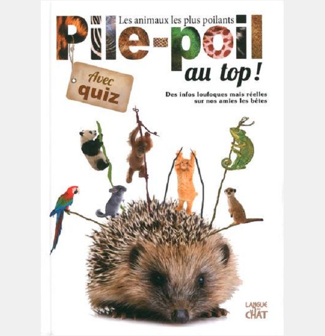PILE-POIL AU TOP !