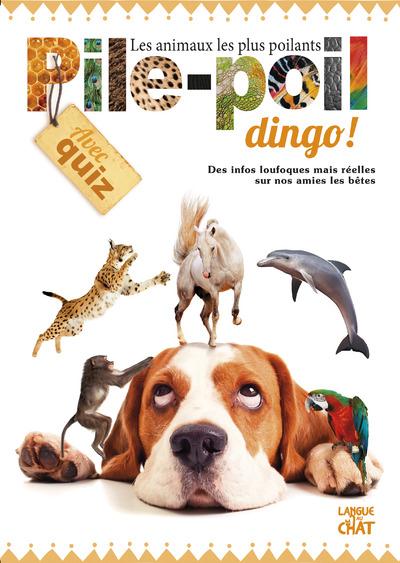PILE-POIL DINGO ! LES ANIMAUX LES PLUS POILANTS