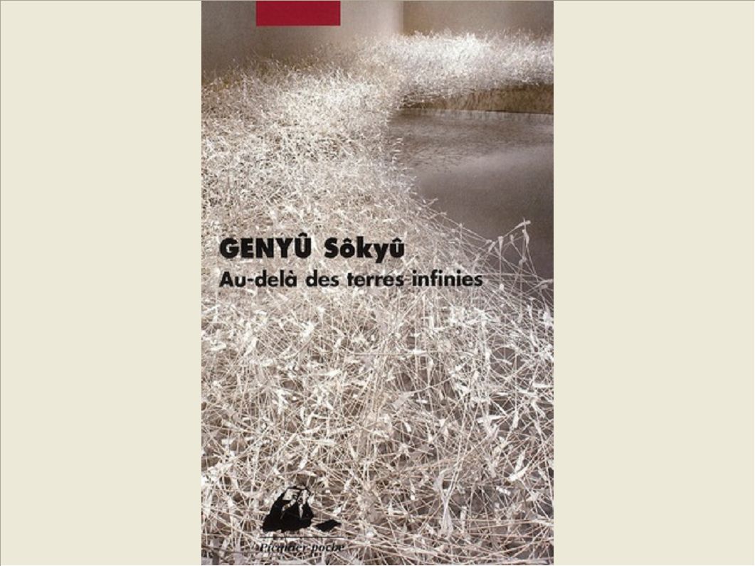 AU-DELA DES TERRES INFINIES