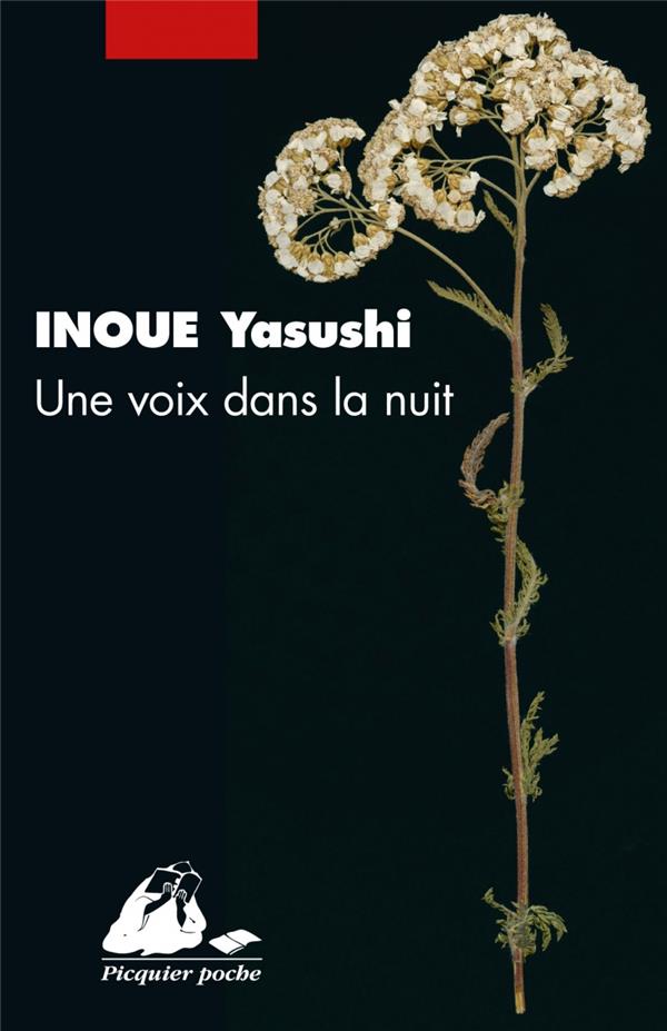UNE VOIX DANS LA NUIT
