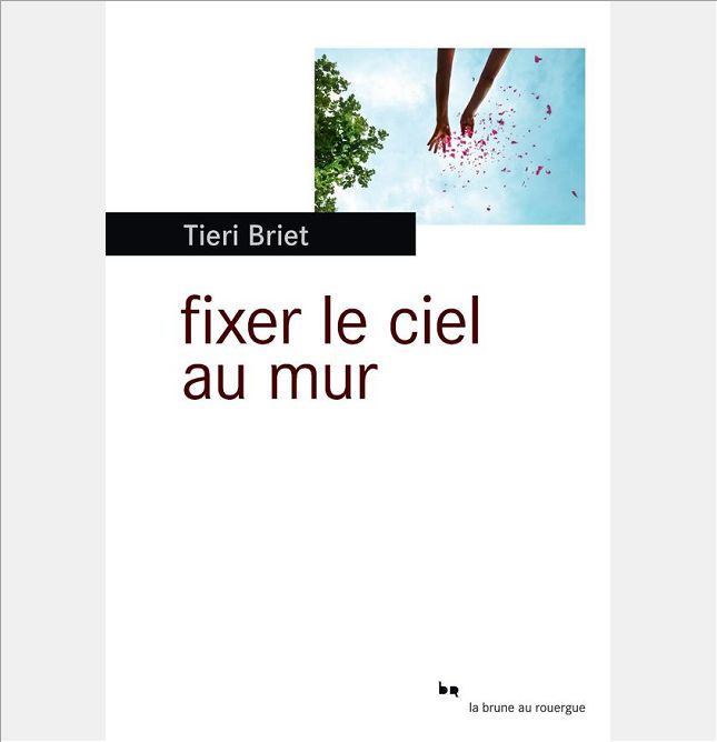 FIXER LE CIEL AU MUR