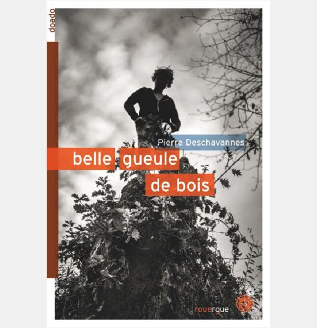 BELLE GUEULE DE BOIS