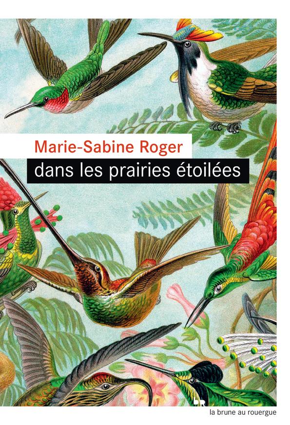 DANS LES PRAIRIES ETOILEES