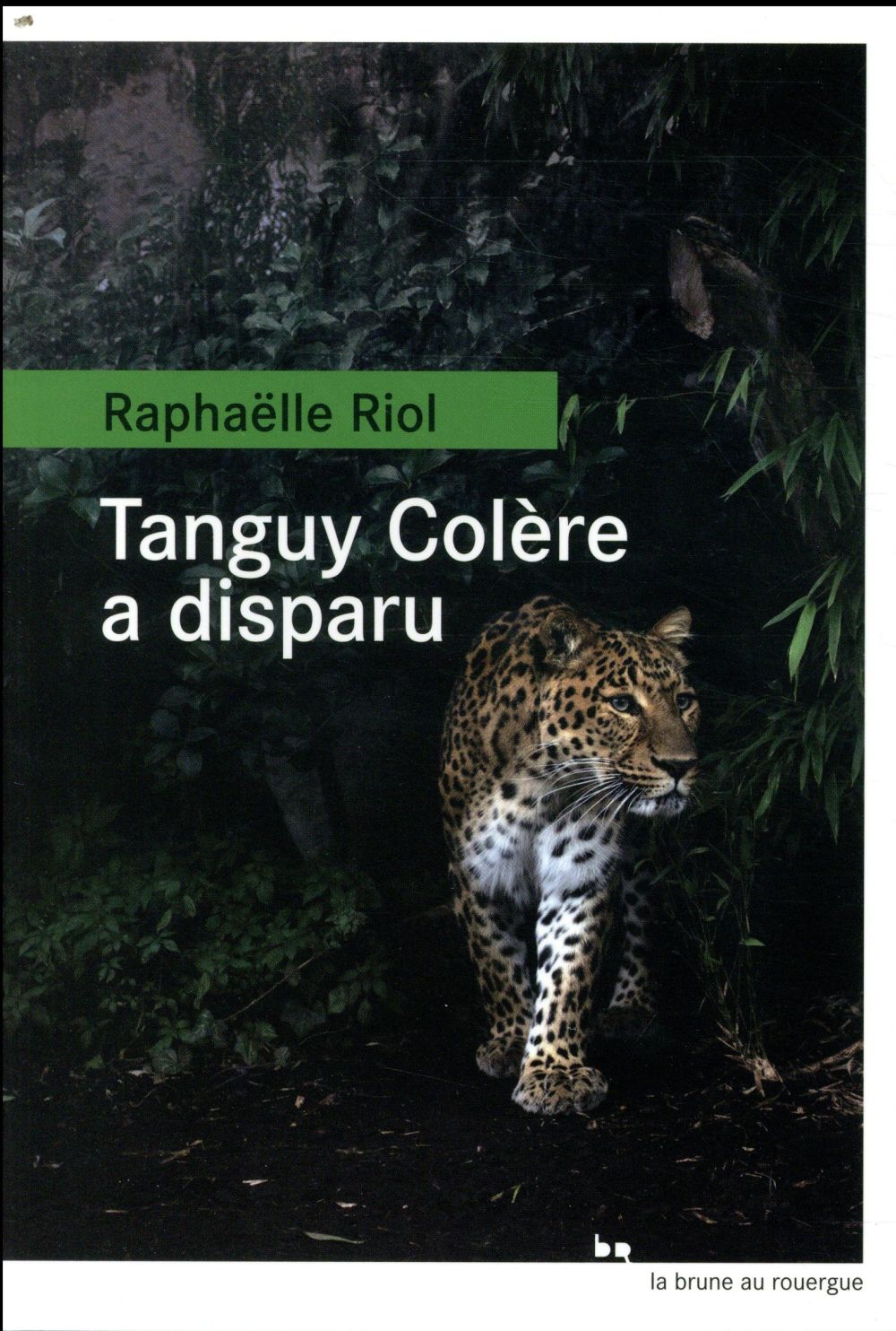 TANGUY COLERE A DISPARU