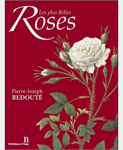 LES PLUS BELLES ROSES - BILINGUE : FRANCAIS/ANGLAIS
