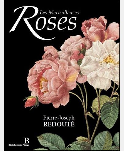 LES MERVEILLEUSES ROSES - BILINGUE : FRANCAIS/ANGLAIS