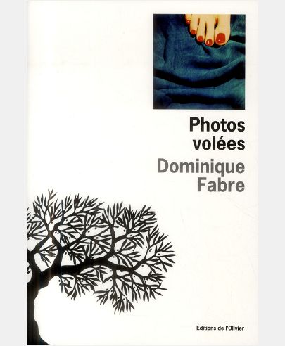 PHOTOS VOLEES