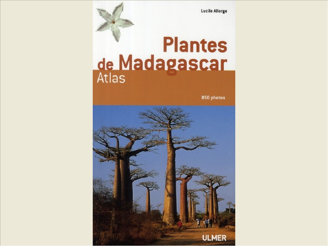 PLANTES DE MADAGASCAR- ATLAS