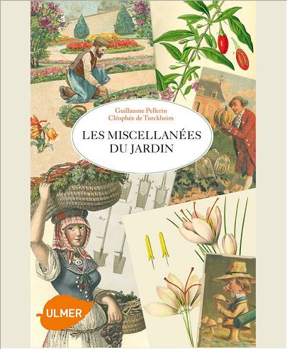LES MISCELLANEES DU JARDIN