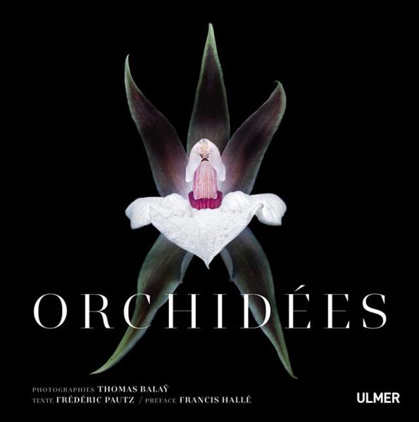 ORCHIDEES