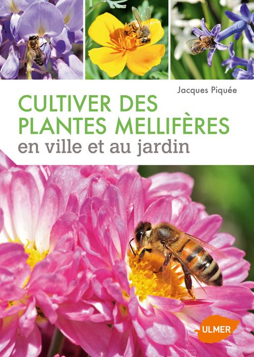 CULTIVER DES PLANTES MELLIFERES EN VILLE ET AU JARDIN