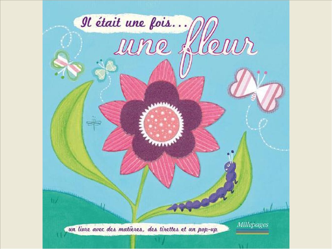 IL ETAIT UNE FOIS ... UNE FLEUR