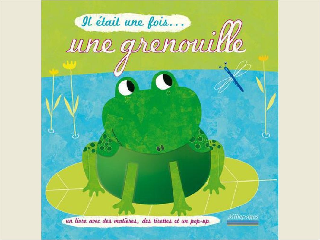 IL ETAIT UNE FOIS ... UNE GRENOUILLE
