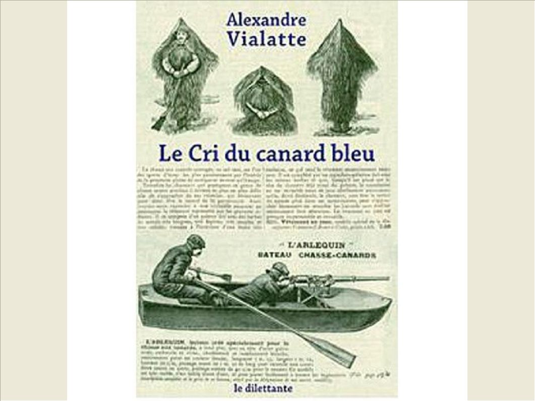 LE CRI DU CANARD BLEU
