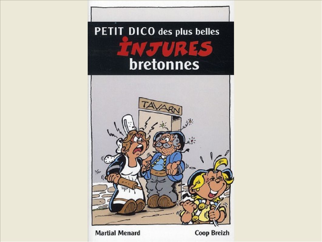 PETIT DICO DES PLUS BELLES INJURES BRETONNES