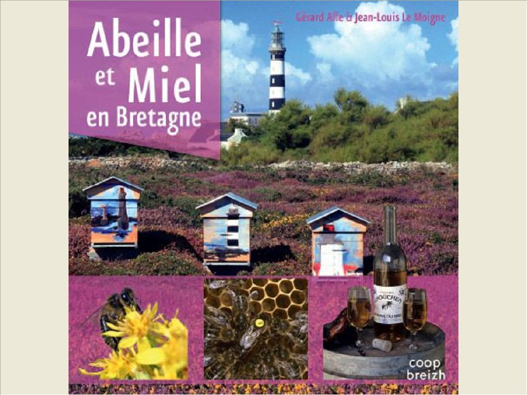 ABEILLE ET MIEL EN BRETAGNE