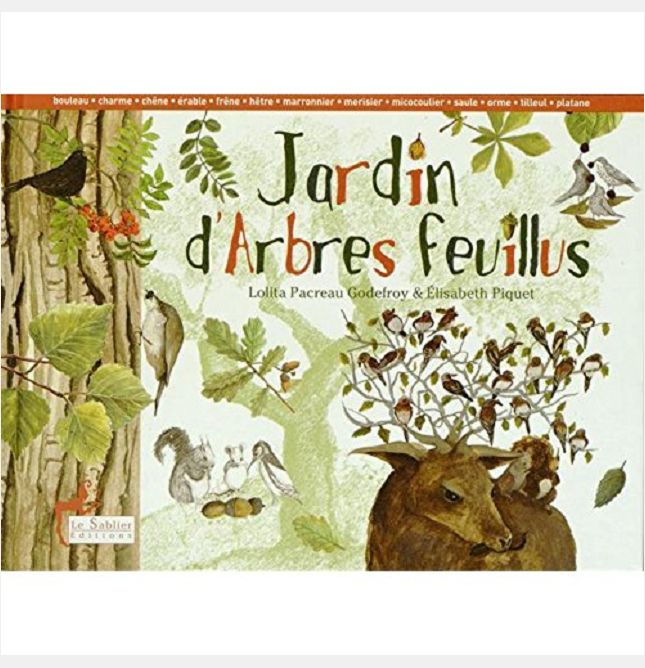 JARDIN D'ARBRES FEUILLUS