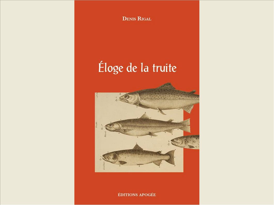 ELOGE DE LA TRUITE