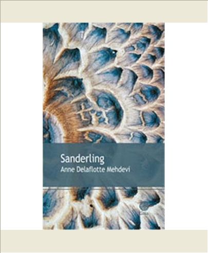 SANDERLING
