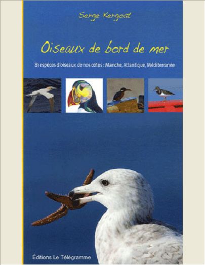 OISEAUX DE BORD DE MER