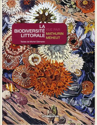 BIODIVERSITE LITTORALE VUE PAR MEHEUT.