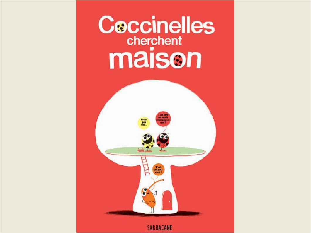 COCCINELLES CHERCHENT MAISON