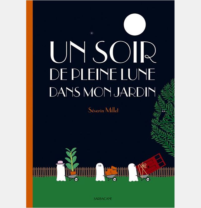UN SOIR DE PLEINE LUNE DANS MON JARDIN
