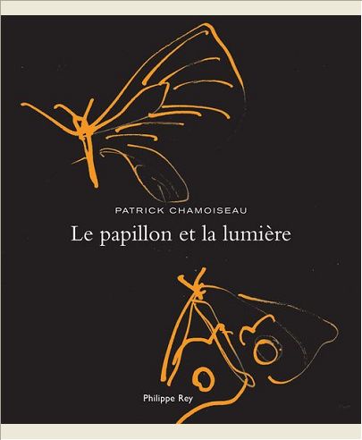LE PAPILLON ET LA LUMIERE