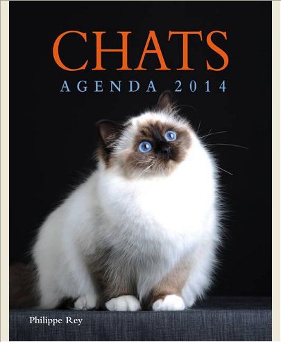 AGENDA CHAT 2014