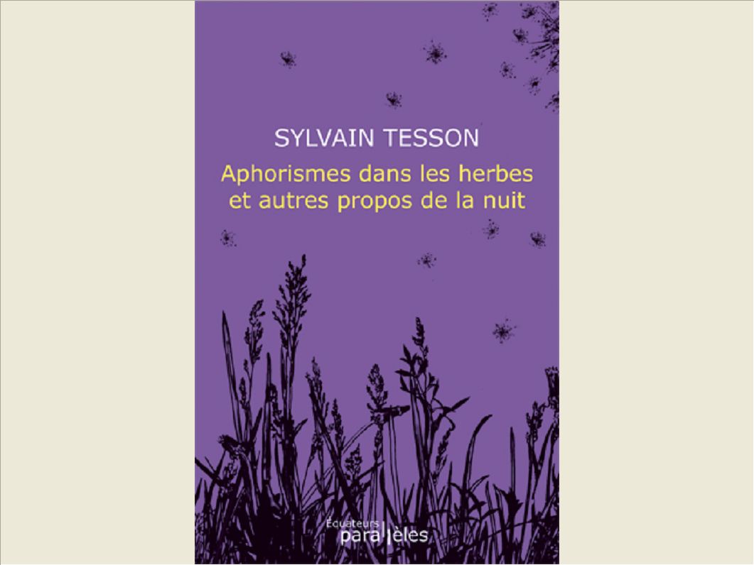 APHORISMES DANS LES HERBES ET AUTRES PROPOS DE LA NUIT