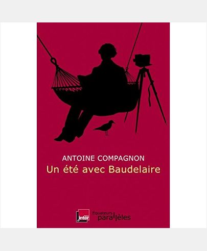 Un Ã©tÃ© avec Baudelaire