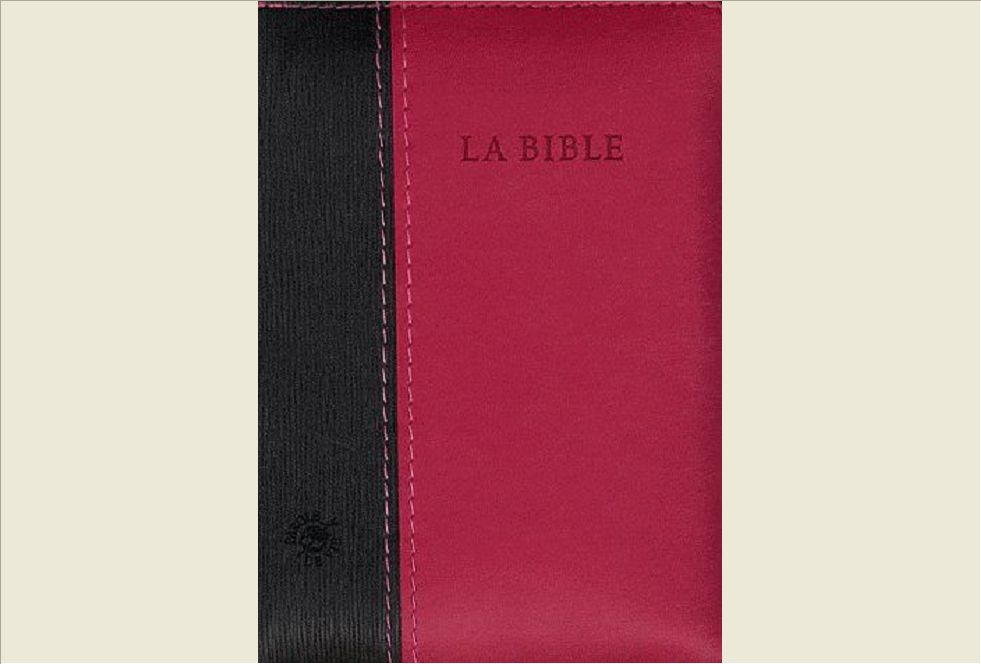 BIBLE PDV POCKET, AVEC DC VIVELLA DUOTONE TR.ARG, ZIP