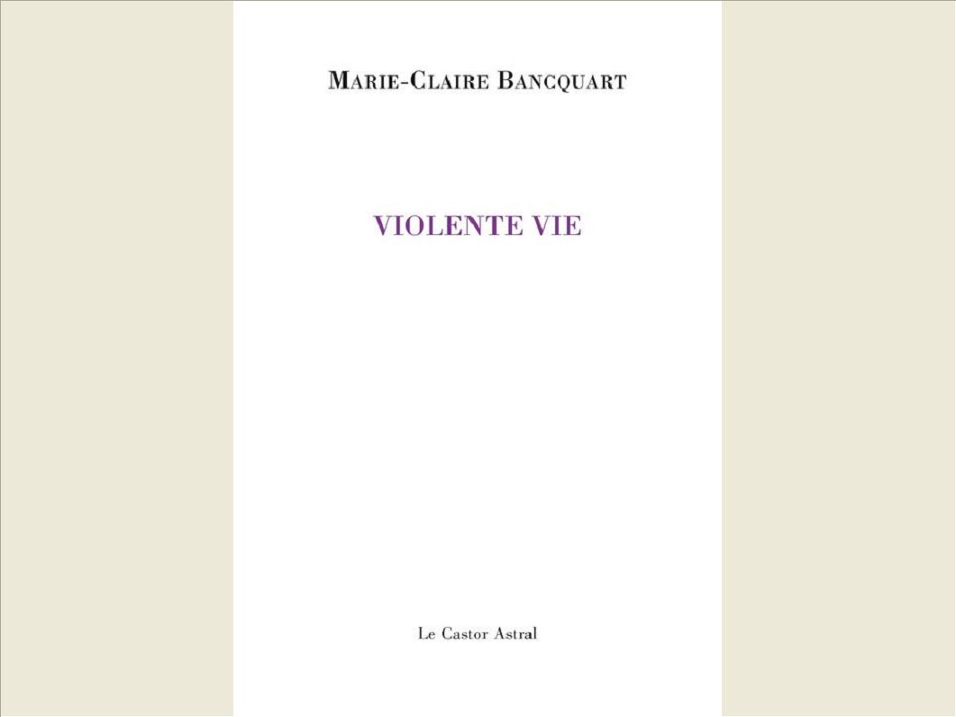 VIOLENTE VIE