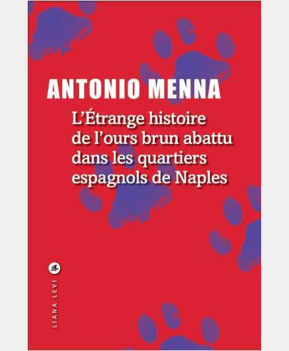L'ETRANGE HISTOIRE DE L'OURS ABATTU DANS LES QUARTIERS ESPAGNOLS DE NAPLES