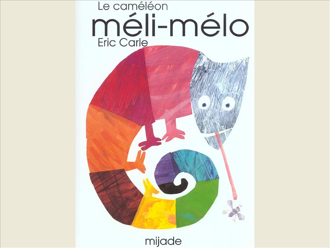 CAMELEON MELI-MELO (LE)