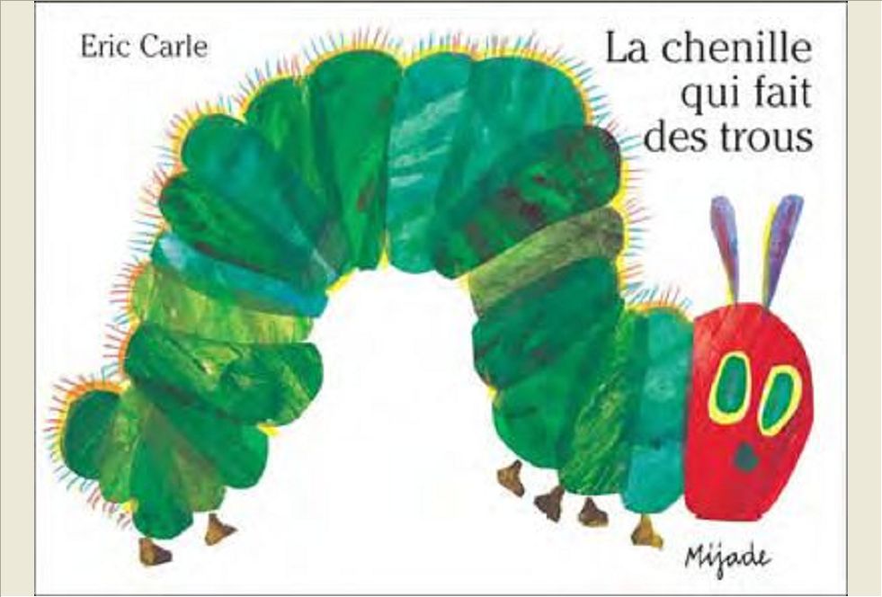 CHENILLE QUI FAIT DES TROUS CARTONNE GRD FORMAT