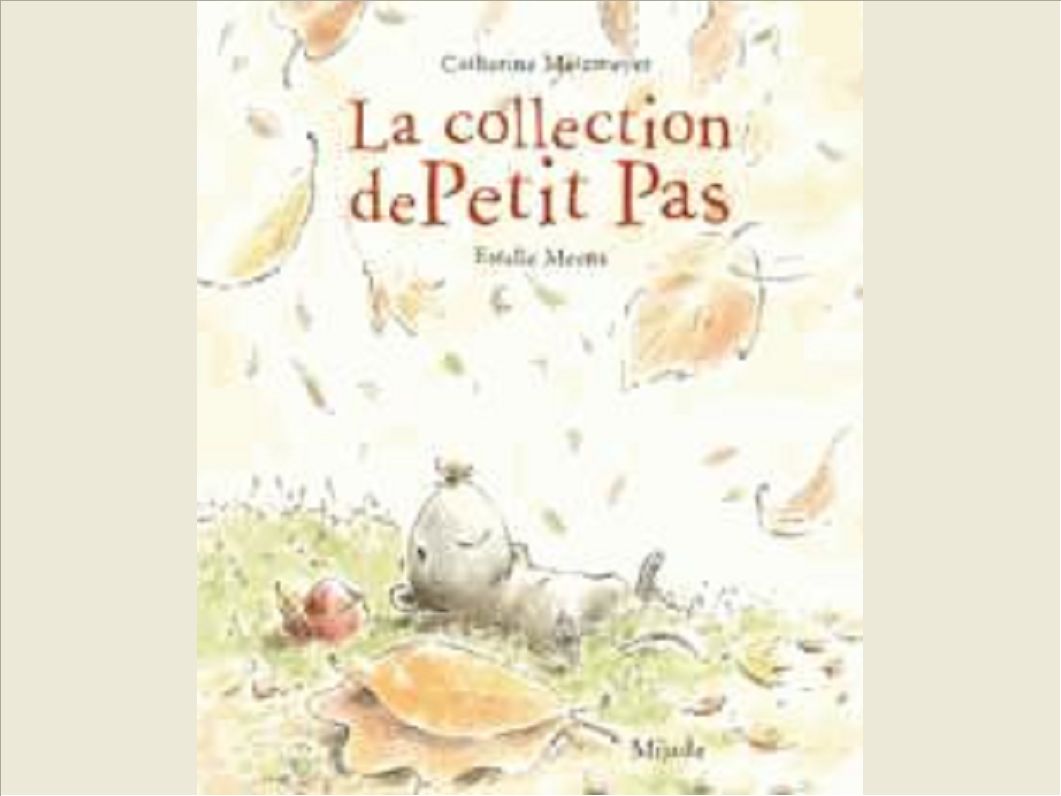 COLLECTION DE PETIT PAS