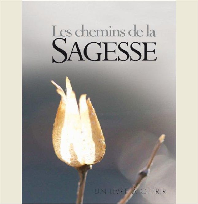 CHEMINS DE LA SAGESSE (LE) - GF