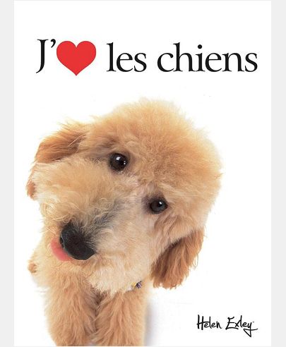 J'ADORE LES CHIENS