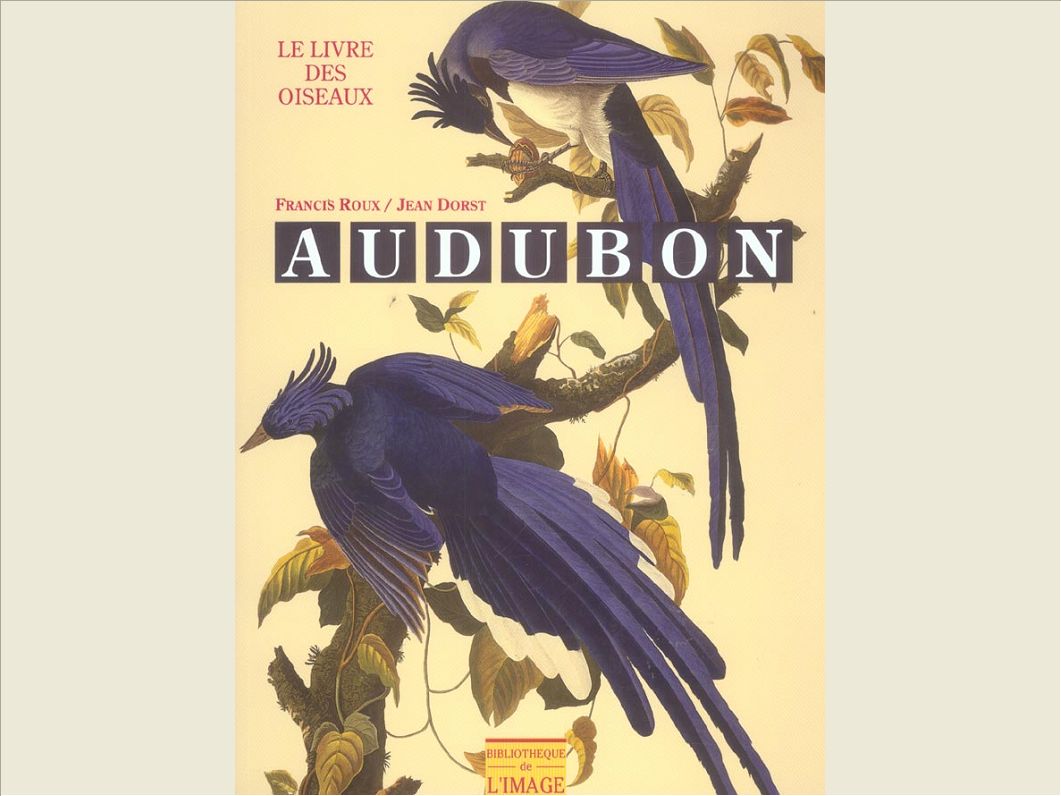 AUDUBON. LE LIVRE DES OISEAUX